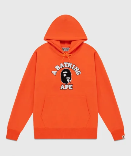 BAPE Chenille College OVO Hoodie